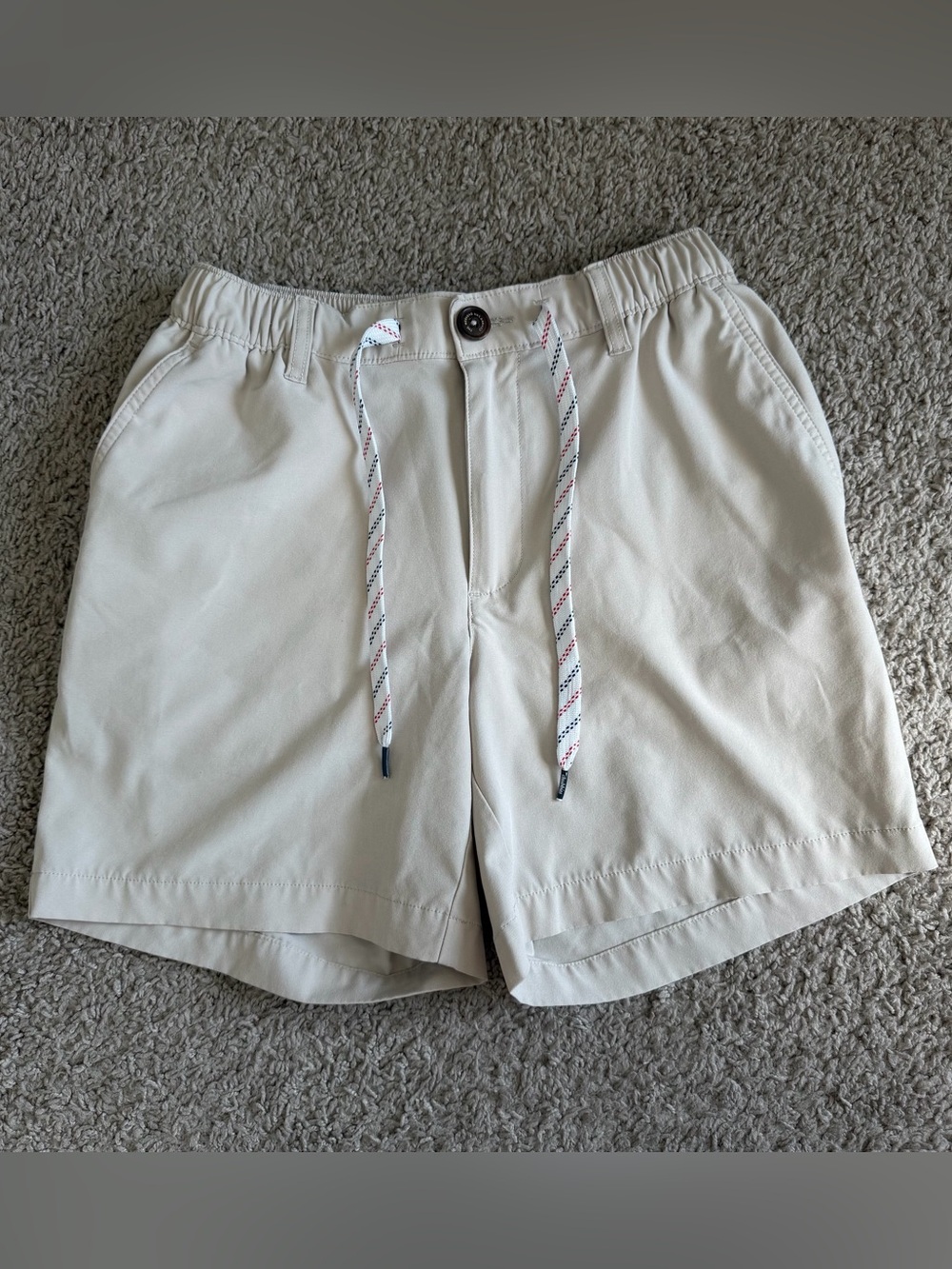 Chubbies Everyday Performance 6" Inseam Shorts